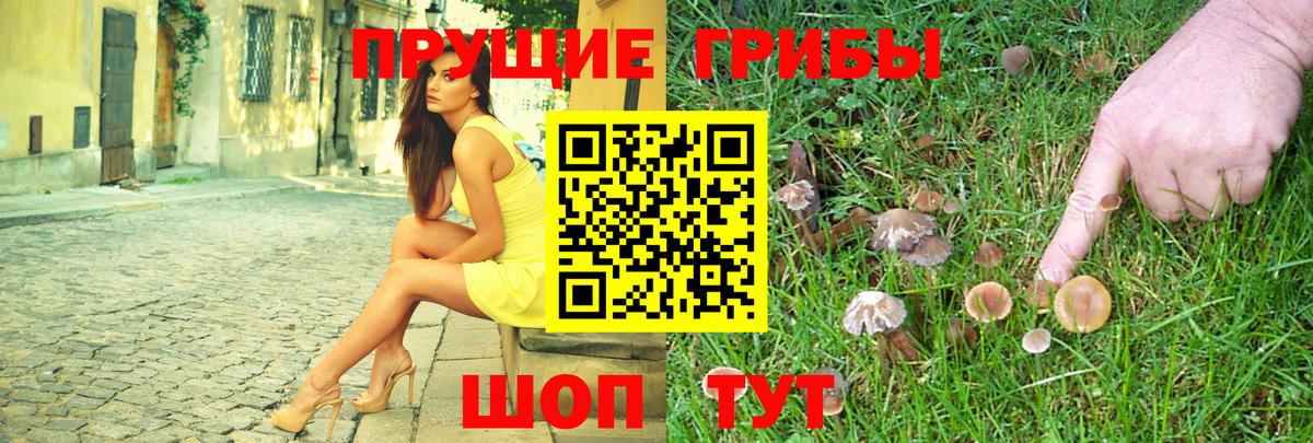 Псилоцибиновые грибы мицелий Великий Новгород