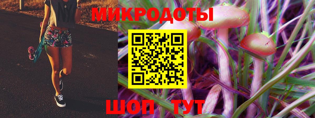 Великий Новгород  Псилоцибиновые грибы мухоморы  Вход с VPN  Галлюциногенные грибы Psilocybe 